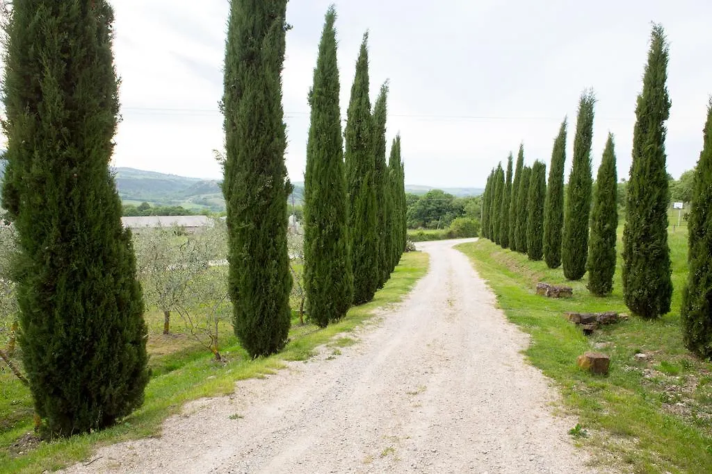 Podere Il Tigliolo Castiglione dʼOrcia Casa rural